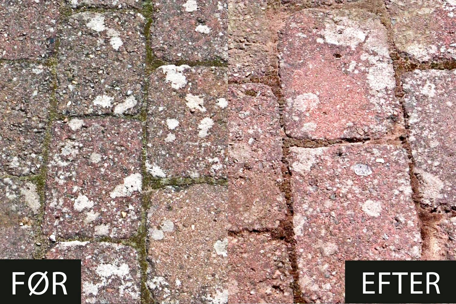 Fugesand i kamp mod flisepest Flisepest: Fugesand i kamp mod flisepest